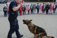 Fotografia przedstawia dzieci z Przedszkola  w Ciechanowcu na spotkaniu  z wysokomazowieckimi policjantami na placu  Komendy Powiatowej Policji- przewodnik psa służbowego pokazuje dzieciom psa
