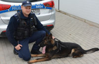 Obraz przedstawia policjanta z psem służbowym na tle radiowozu