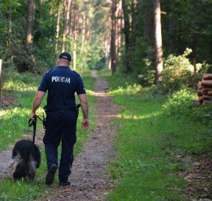 Obraz przedstawia policjanta z psem służbowym w masywie leśnym