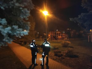 Obraz przedstawia idących policjantów w parku nocą