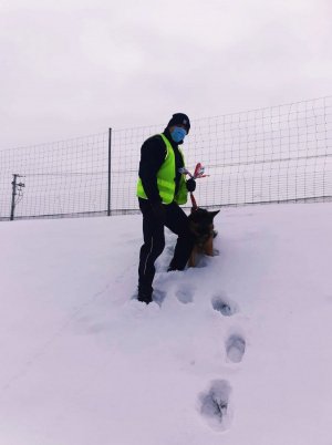 obraz przedstawia psa z policjantem