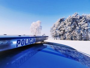 Obraz przedstawia napis Policji z radiowozu na tle masywu leśnego