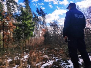 obraz przedstawia policjanta na tle masywu leśnego