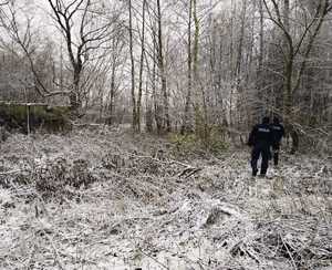 obraz przedstawia policjantów sprawdzających pustostan na obrzeżach lasu