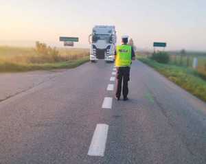 obraz przedstawia policjanta patrzącego na drogę