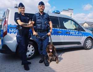 obraz przedstawia policjantów i psa na tle radiowozu