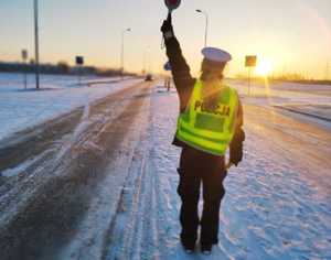 obraz przedstawia policjantkę