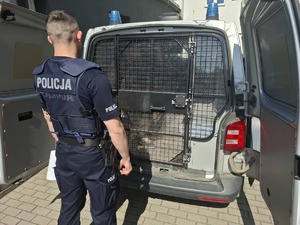 obraz przedstawia policjanta