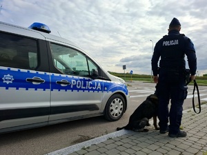 obraz przedstawia radiowóz, psa i policjanta.