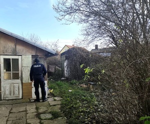 obraz przedstawia stojącego policjanta