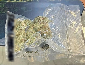 zabezpieczone narkotyki w foliowym opakowaniu susz rosłinny