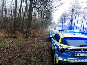 obraz przedstawia samochody