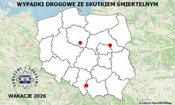 obraz przedstawia mapę