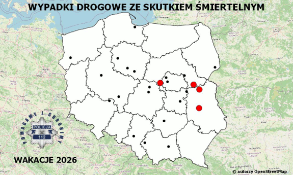 obraz przedstawia mapę