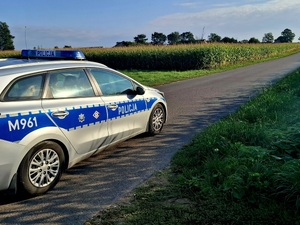 obraz przedstawia radiowóz